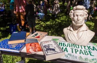 Книги, игры и Пушкин на траве: как Новосибирская область проводит лето с библиотекой
